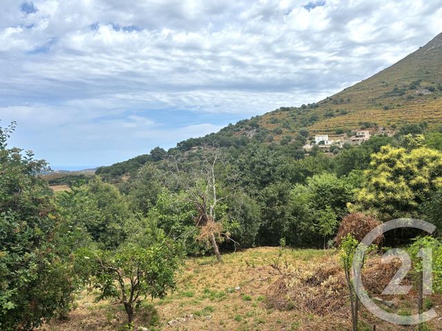 Terrain &agrave; vendre - 1109 m2 - Nessa - 202 - CORSE