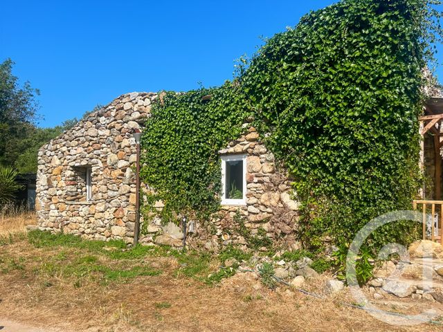 Maison &agrave; vendre - 9 pi&egrave;ces - 240 m2 - Occhiatana - 202 - CORSE