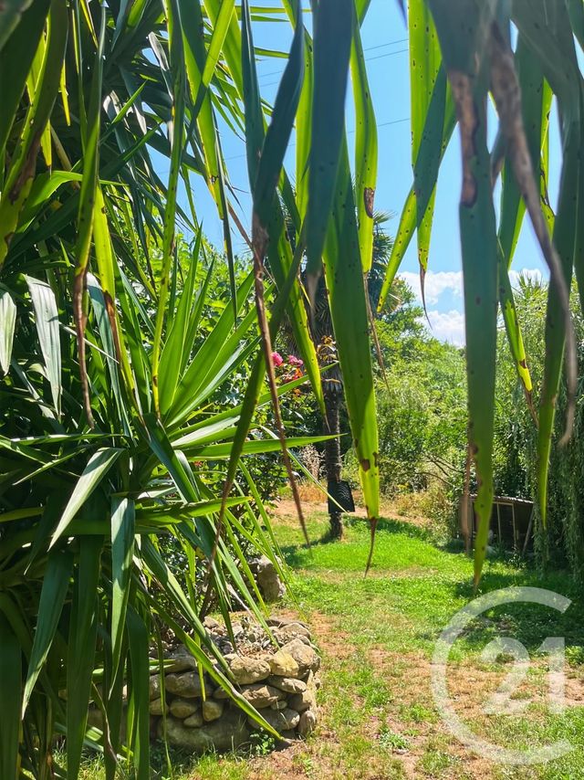 Maison &agrave; vendre - 9 pi&egrave;ces - 240 m2 - Occhiatana - 202 - CORSE