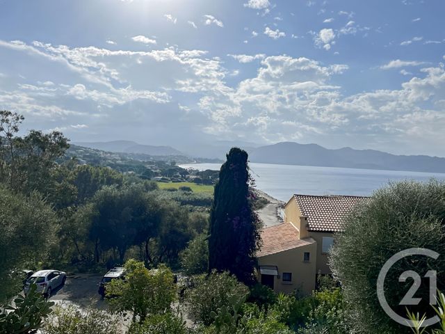 Appartement F1 à vendre - 1 pièce - 30,95 m2 - Patrimonio - 202 - CORSE