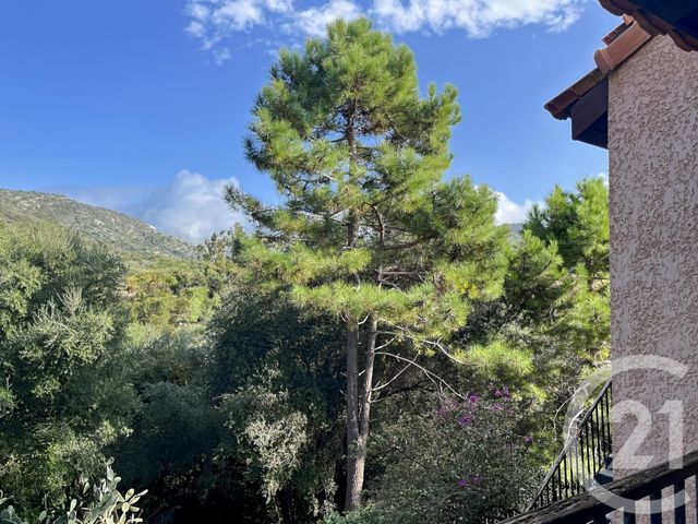 Appartement F1 à vendre - 1 pièce - 30,95 m2 - Patrimonio - 202 - CORSE