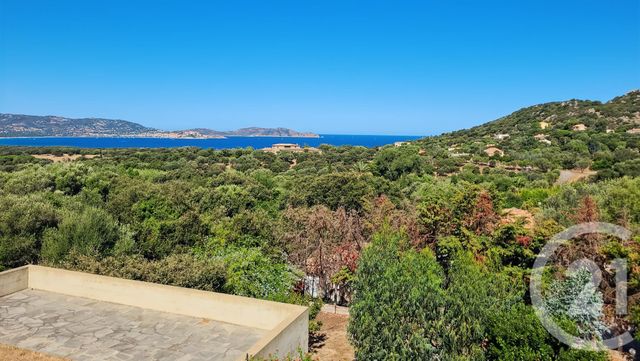 Appartement T5 à vendre - 6 pièces - 136,86 m2 - Lumio - 202 - CORSE