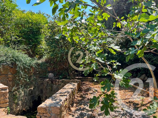 Maison à vendre - 5 pièces - 142,84 m2 - Calvi - 202 - CORSE