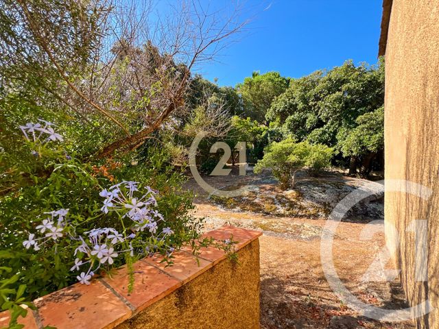Maison à vendre - 5 pièces - 142,84 m2 - Calvi - 202 - CORSE