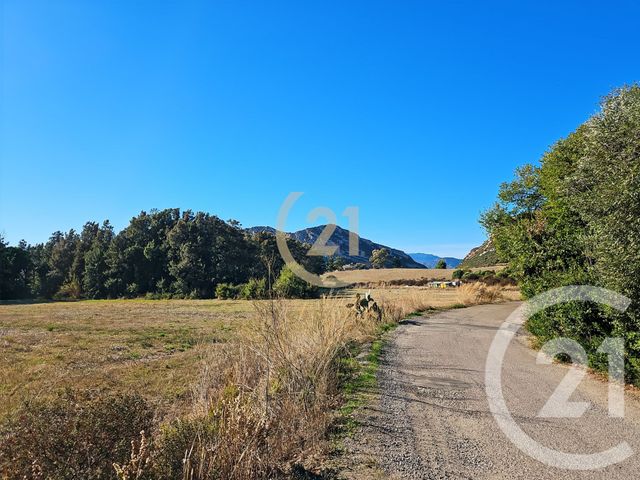 Appartement T2 &agrave; vendre - 2 pi&egrave;ces - 40,49 m2 - Patrimonio - 202 - CORSE