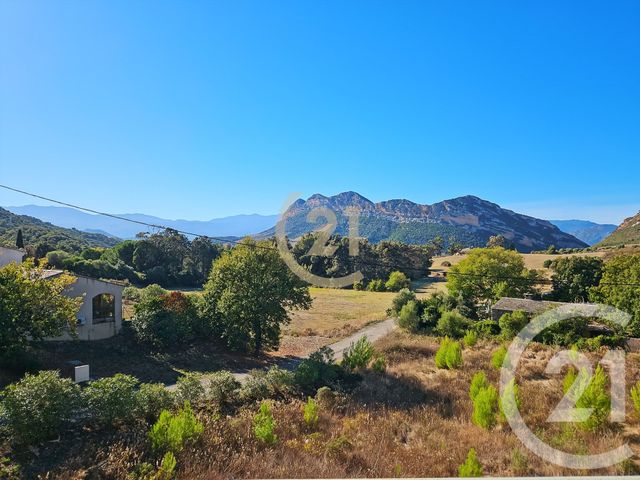 Appartement T2 &agrave; vendre - 2 pi&egrave;ces - 40,49 m2 - Patrimonio - 202 - CORSE