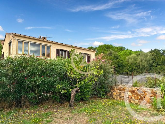 Maison à vendre - 6 pièces - 125,38 m2 - Galeria - 202 - CORSE