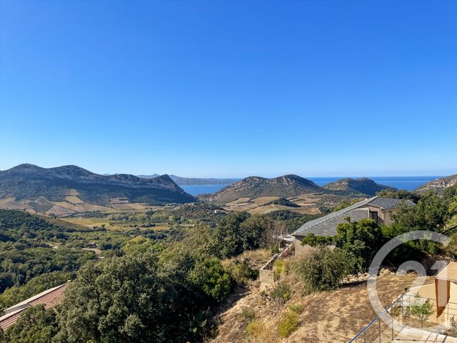 Maison à vendre - 4 pièces - 149,30 m2 - Barbaggio - 202 - CORSE