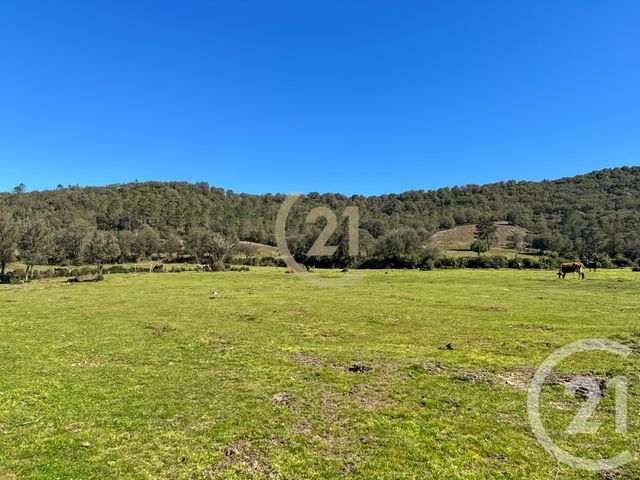 Maison &agrave; vendre - 5 pi&egrave;ces - 87 m2 - Castirla - 202 - CORSE