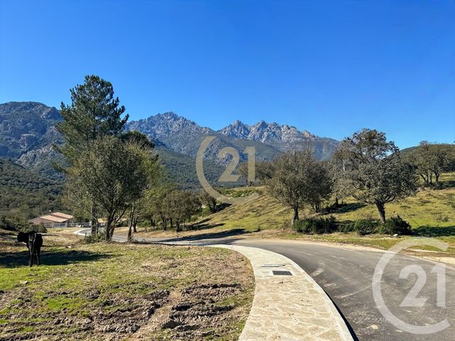 Maison &agrave; vendre - 5 pi&egrave;ces - 87 m2 - Castirla - 202 - CORSE