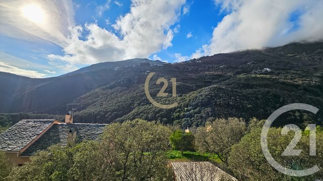 Maison &agrave; vendre - 5 pi&egrave;ces - 149,08 m2 - Santa Maria Di Lota - 202 - CORSE