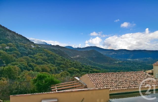 Maison &agrave; vendre - 2 pi&egrave;ces - 40,45 m2 - Corbara - 202 - CORSE