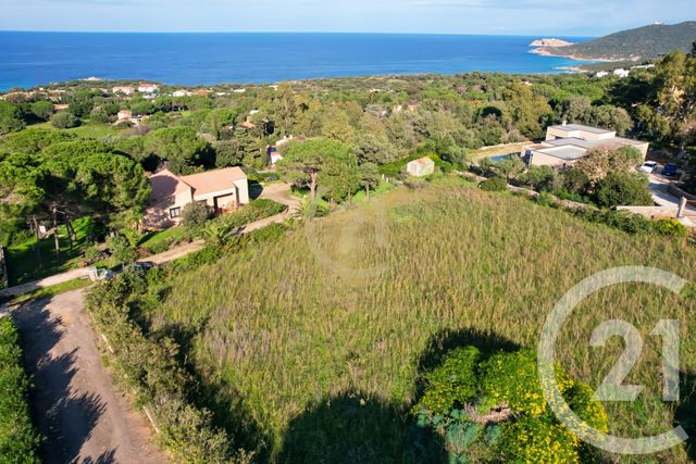 Terrain à vendre CORBARA