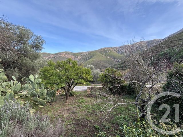 Terrain &agrave; vendre - 585 m2 - Occhiatana - 202 - CORSE