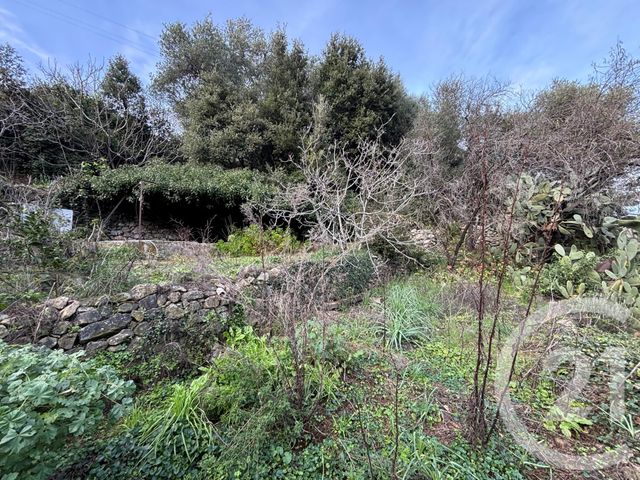 Terrain &agrave; vendre - 585 m2 - Occhiatana - 202 - CORSE