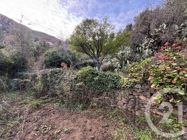 Terrain &agrave; vendre - 585 m2 - Occhiatana - 202 - CORSE