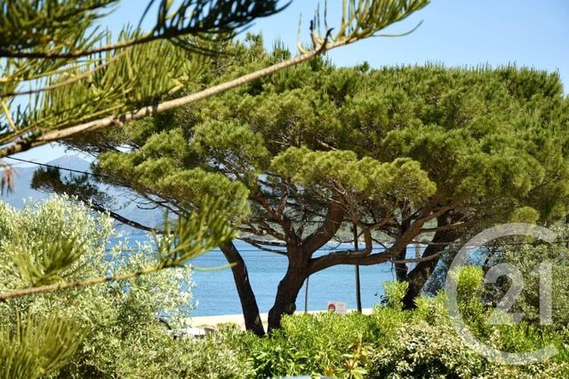 Maison &agrave; vendre - 12 pi&egrave;ces - 420 m2 - St Florent - 202 - CORSE