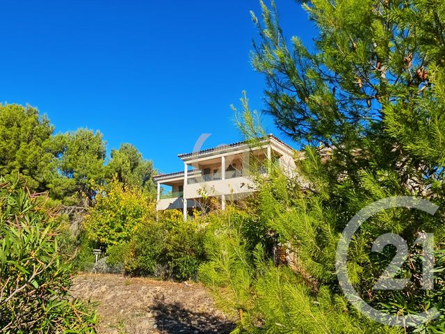 appartement - PATRIMONIO - 202