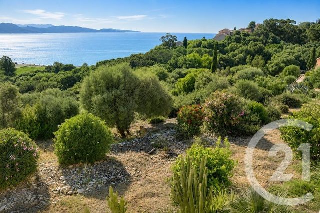 Appartement T3 &agrave; vendre - 3 pi&egrave;ces - 75,69 m2 - St Florent - 202 - CORSE