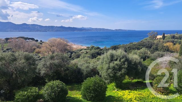 Appartement T3 &agrave; vendre - 3 pi&egrave;ces - 75,69 m2 - St Florent - 202 - CORSE