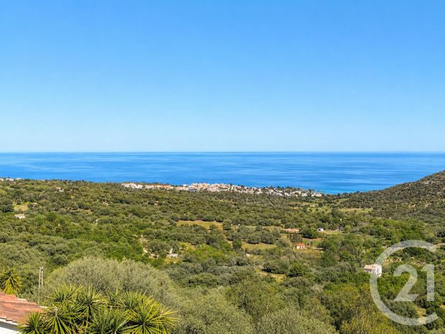 Maison &agrave; vendre - 8 pi&egrave;ces - 242,28 m2 - Monticello - 202 - CORSE
