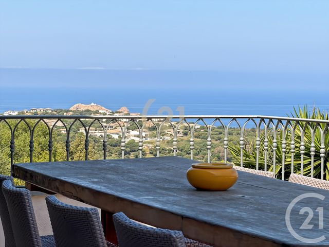 Maison &agrave; vendre - 8 pi&egrave;ces - 239 m2 - Monticello - 202 - CORSE