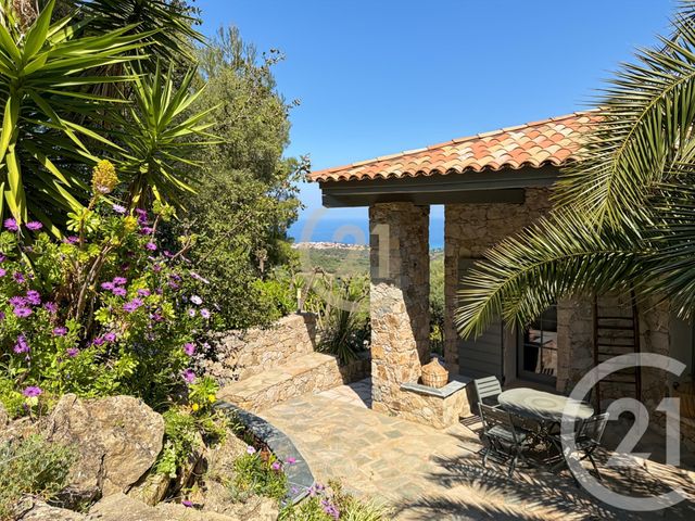 Maison &agrave; vendre - 8 pi&egrave;ces - 239 m2 - Monticello - 202 - CORSE