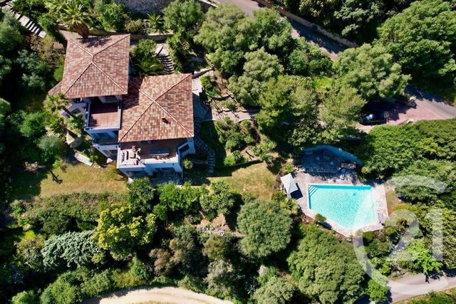 Maison &agrave; vendre - 8 pi&egrave;ces - 239 m2 - Monticello - 202 - CORSE