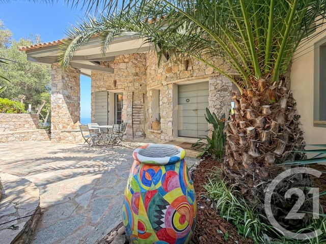 Maison &agrave; vendre - 8 pi&egrave;ces - 239 m2 - Monticello - 202 - CORSE