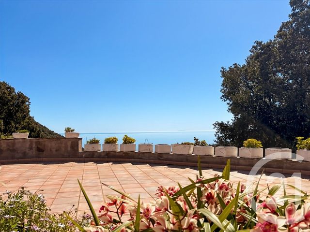 Maison &agrave; vendre - 12 pi&egrave;ces - 487 m2 - San Martino Di Lota - 202 - CORSE