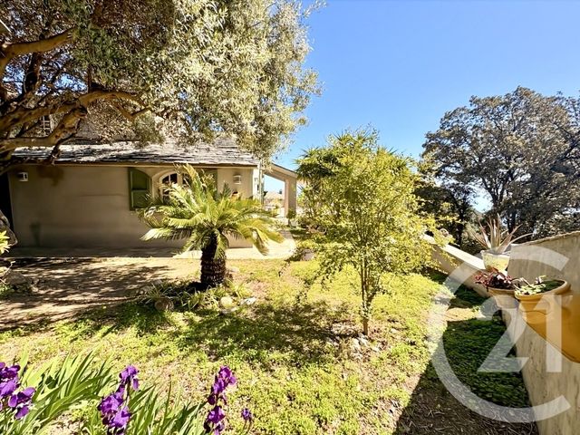 Maison &agrave; vendre - 12 pi&egrave;ces - 487 m2 - San Martino Di Lota - 202 - CORSE