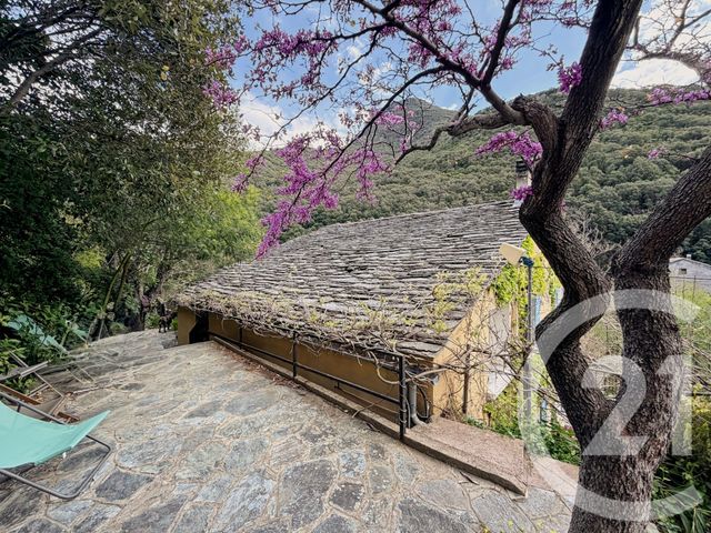 Maison &agrave; vendre - 7 pi&egrave;ces - 173,50 m2 - Olmeta Di Capocorso - 202 - CORSE