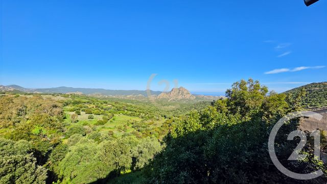 Appartement &agrave; vendre - 3 pi&egrave;ces - 24,58 m2 - Santo Pietro Di Tenda - 202 - CORSE