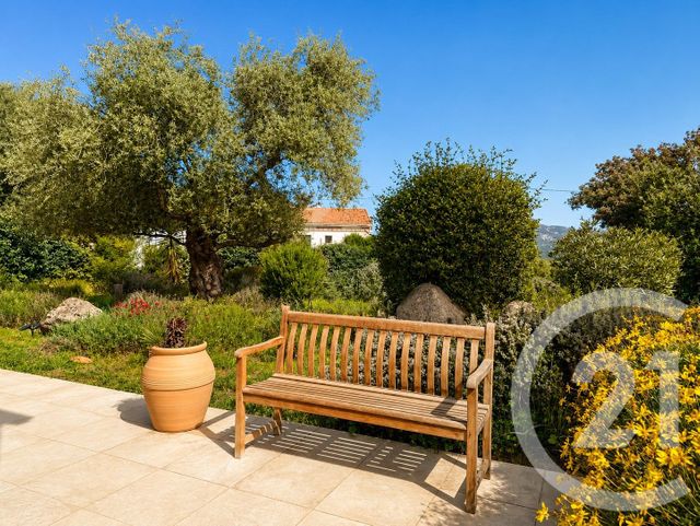 Maison &agrave; vendre - 7 pi&egrave;ces - 156,50 m2 - Calenzana - 202 - CORSE