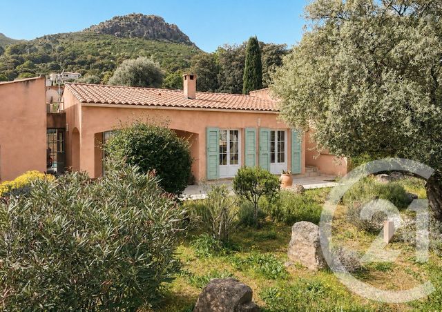 Maison &agrave; vendre - 7 pi&egrave;ces - 156,50 m2 - Calenzana - 202 - CORSE