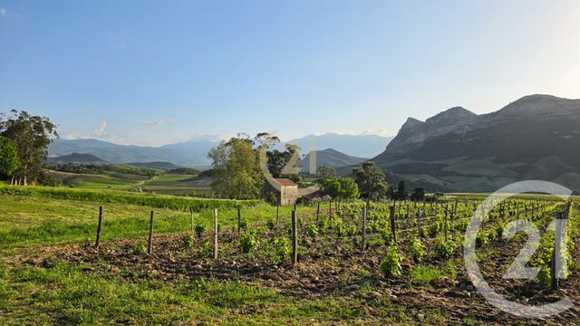 Terrain &agrave; vendre - 476 m2 - Barbaggio - 202 - CORSE