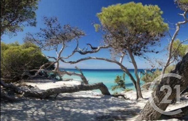 Maison &agrave; vendre - 3 pi&egrave;ces - 40,08 m2 - Oletta - 202 - CORSE