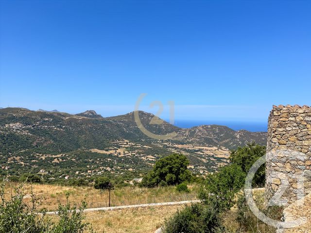 Appartement T2 &agrave; louer - 2 pi&egrave;ces - 25,35 m2 - Sant Antonino - 202 - CORSE