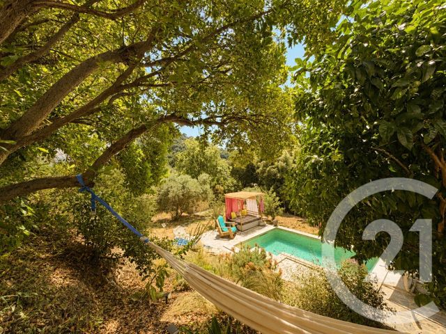 Maison &agrave; vendre - 5 pi&egrave;ces - 162 m2 - Poggio D Oletta - 202 - CORSE