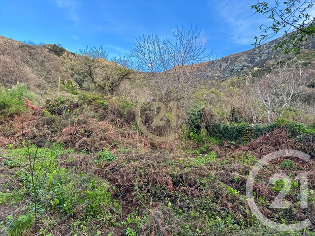 Terrain &agrave; vendre - 1415 m2 - Ville Di Paraso - 202 - CORSE
