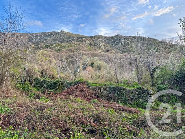 Terrain &agrave; vendre - 1415 m2 - Ville Di Paraso - 202 - CORSE