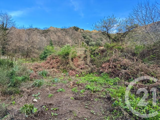 Terrain &agrave; vendre - 1415 m2 - Ville Di Paraso - 202 - CORSE