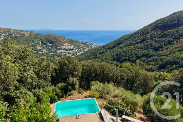Maison &agrave; vendre - 9 pi&egrave;ces - 262,24 m2 - San Martino Di Lota - 202 - CORSE