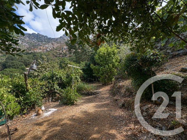 Maison &agrave; vendre - 4 pi&egrave;ces - 100,48 m2 - Nessa - 202 - CORSE