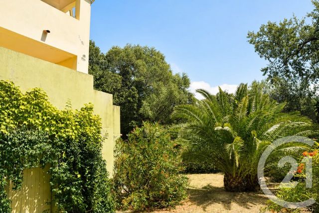 Maison &agrave; vendre - 8 pi&egrave;ces - 218 m2 - Patrimonio - 202 - CORSE
