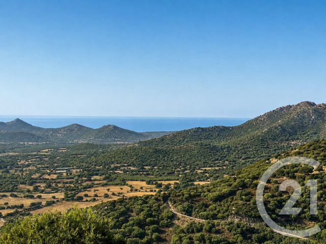 Maison &agrave; vendre - 12 pi&egrave;ces - 800 m2 - Belgodere - 202 - CORSE