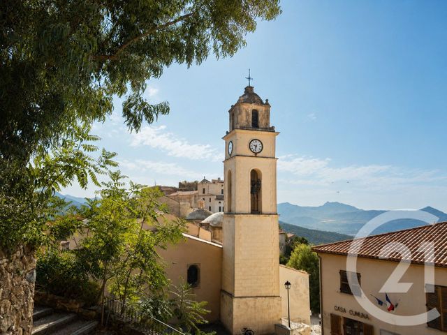 Maison &agrave; vendre - 12 pi&egrave;ces - 800 m2 - Belgodere - 202 - CORSE