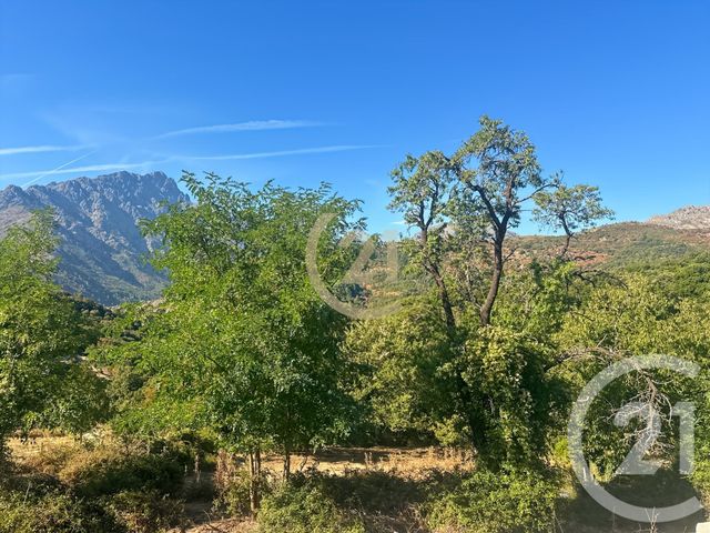Maison &agrave; vendre - 3 pi&egrave;ces - 37,60 m2 - Olmi Cappella - 202 - CORSE