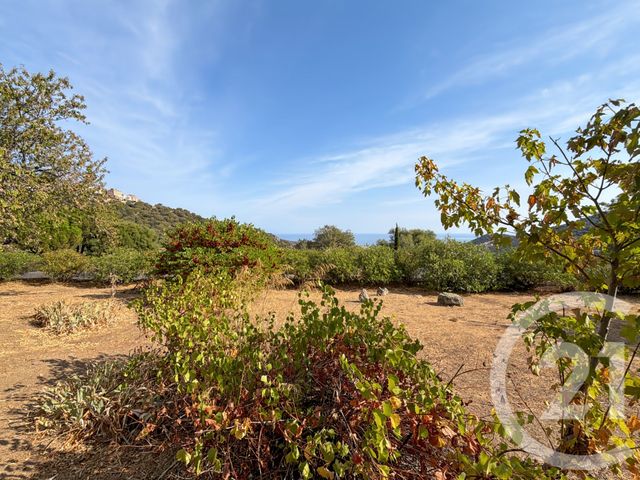 Maison &agrave; vendre - 5 pi&egrave;ces - 136,42 m2 - Santa Reparata Di Balagna - 202 - CORSE