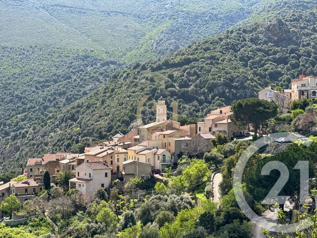 Maison &agrave; louer - 2 pi&egrave;ces - 52,43 m2 - Palasca - 202 - CORSE
